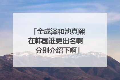 金成泽和池真熙在韩国谁更出名啊 分别介绍下啊