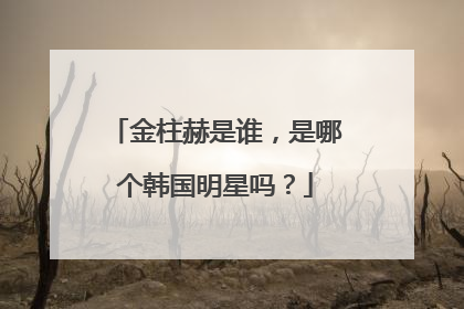金柱赫是谁,是哪个韩国明星吗?