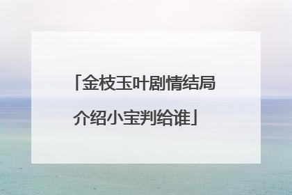 金枝玉叶剧情结局介绍小宝判给谁
