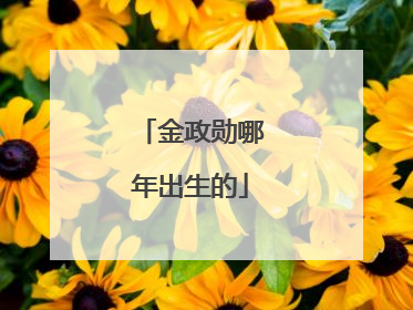 金政勋哪年出生的