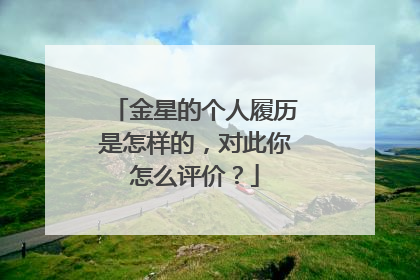 金星的个人履历是怎样的，对此你怎么评价？