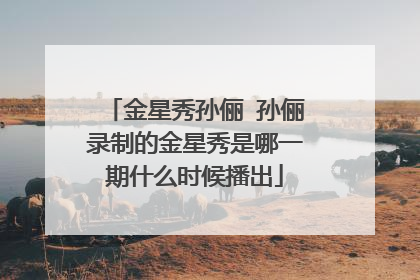 金星秀孙俪 孙俪录制的金星秀是哪一期什么时候播出
