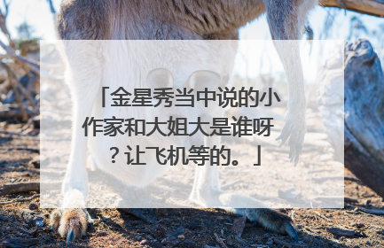 金星秀当中说的小作家和大姐大是谁呀?让飞机等的。