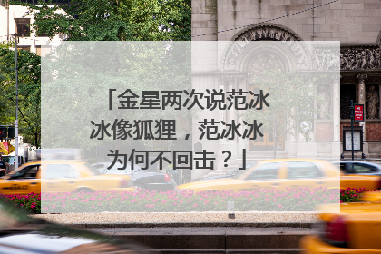 金星两次说范冰冰像狐狸，范冰冰为何不回击？