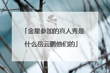 金星参加的真人秀是什么岳云鹏他们的
