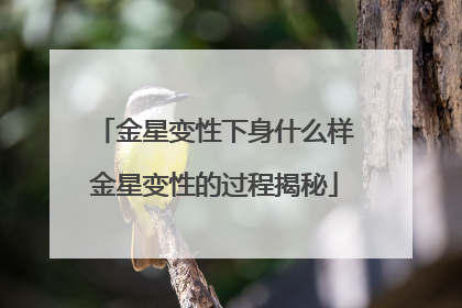 金星变性下身什么样金星变性的过程揭秘