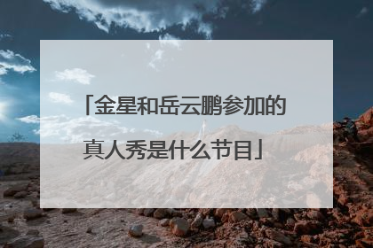 金星和岳云鹏参加的真人秀是什么节目