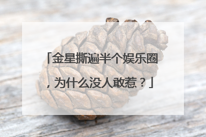 金星撕遍半个娱乐圈,为什么没人敢惹?