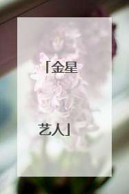金星艺人