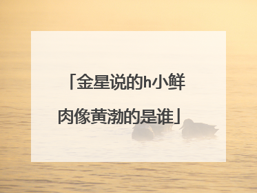 金星说的h小鲜肉像黄渤的是谁
