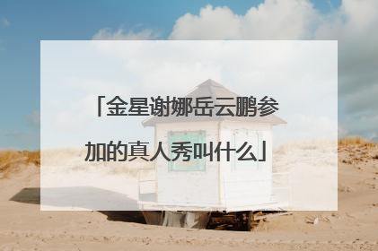 金星谢娜岳云鹏参加的真人秀叫什么