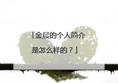 金晨的个人简介是怎么样的？