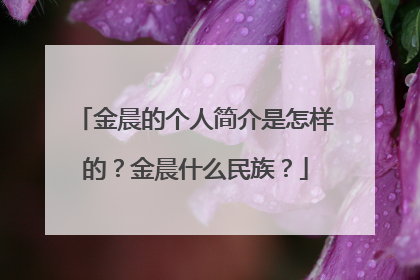 金晨的个人简介是怎样的?金晨什么民族?