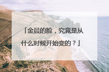 金晨的脸，究竟是从什么时候开始变的？