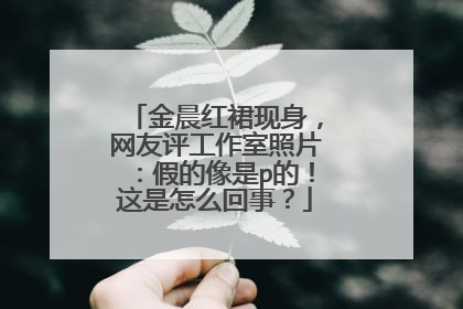 金晨红裙现身,网友评工作室照片:假的像是p的!这是怎么回事?
