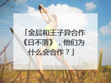 金晨和王子异合作《日不落》，他们为什么会合作？