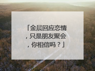 金晨回应恋情,只是朋友聚会,你相信吗?