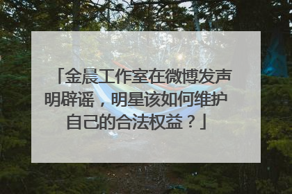 金晨工作室在微博发声明辟谣,明星该如何维护自己的合法权益?