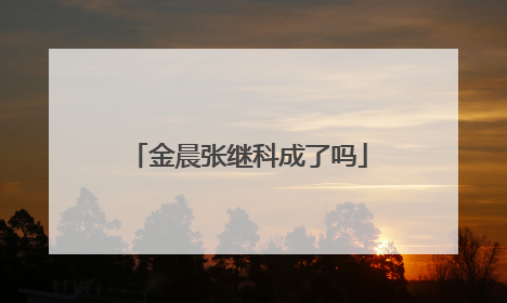金晨张继科成了吗
