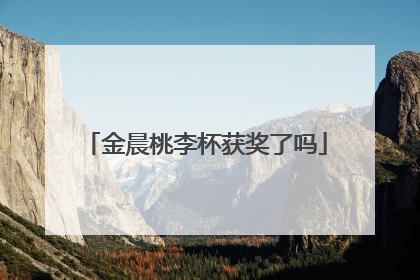 金晨桃李杯获奖了吗