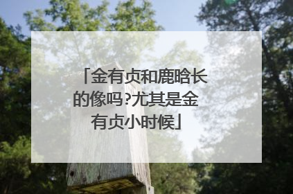 金有贞和鹿晗长的像吗?尤其是金有贞小时候