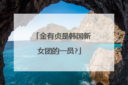 金有贞是韩国新女团的一员?