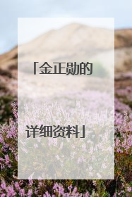 金正勋的详细资料