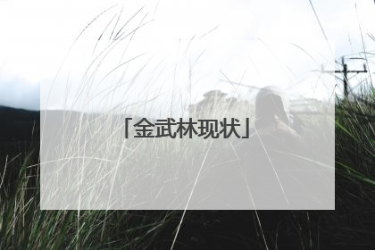 金武林现状