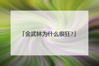 金武林为什么很狂?