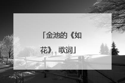 金池的《如花》 歌词