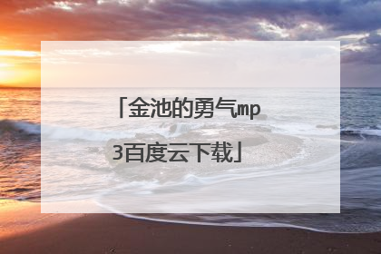 金池的勇气mp3百度云下载