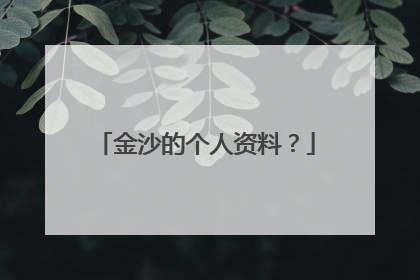 金沙的个人资料？