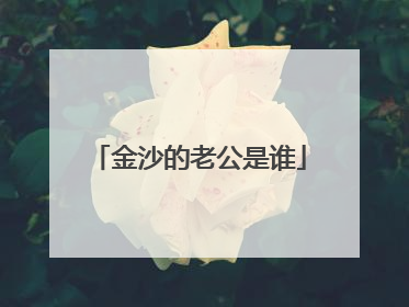 金沙的老公是谁