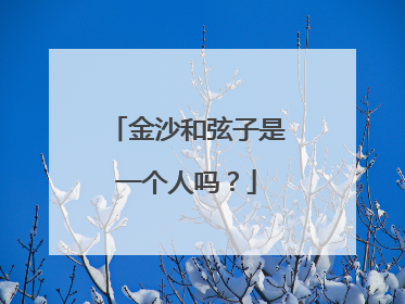 金沙和弦子是一个人吗？