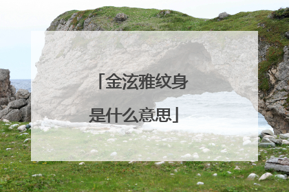 金泫雅纹身是什么意思