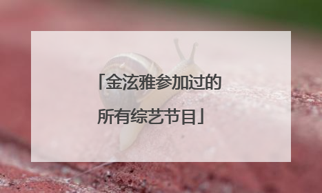 金泫雅参加过的所有综艺节目