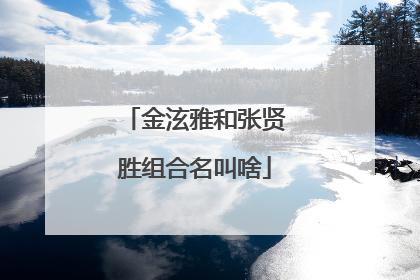 金泫雅和张贤胜组合名叫啥