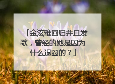 金泫雅回归并且发歌，曾经的她是因为什么退圈的？