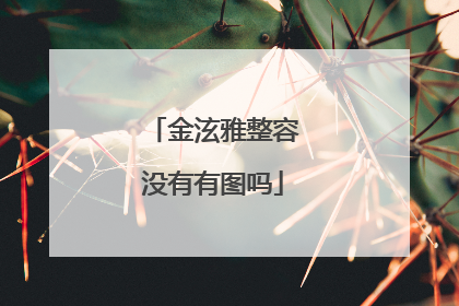 金泫雅整容没有有图吗