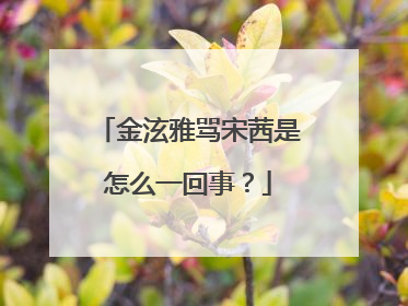 金泫雅骂宋茜是怎么一回事？