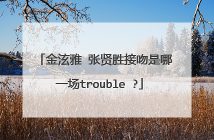 金泫雅 张贤胜接吻是哪一场trouble ?