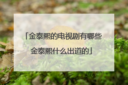 金泰熙的电视剧有哪些 金泰熙什么出道的
