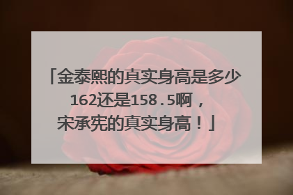 金泰熙的真实身高是多少162还是158.5啊，宋承宪的真实身高！