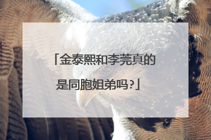 金泰熙和李莞真的是同胞姐弟吗?