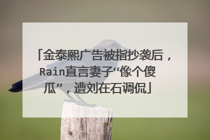 金泰熙广告被指抄袭后，Rain直言妻子“像个傻瓜”，遭刘在石调侃