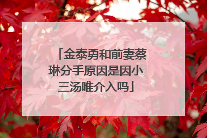 金泰勇和前妻蔡琳分手原因是因小三汤唯介入吗