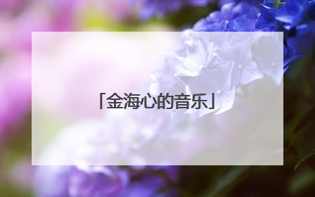 金海心的音乐