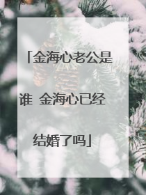 金海心老公是谁 金海心已经结婚了吗