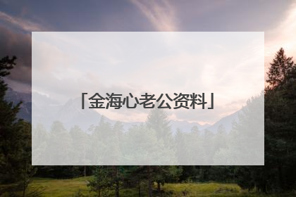 金海心老公资料