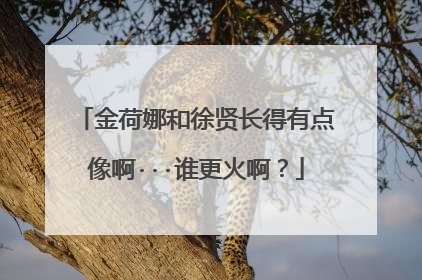 金荷娜和徐贤长得有点像啊···谁更火啊？